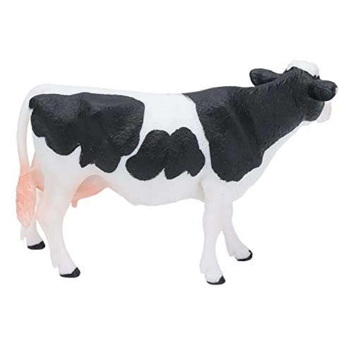 Simmental Cattle - 18 months - 3 years 1 1