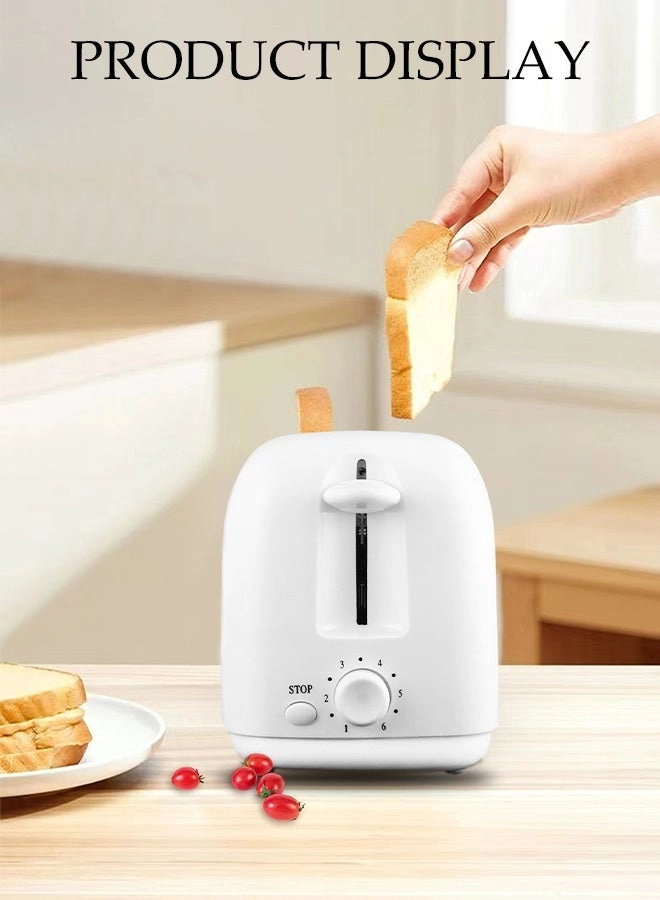 JC03509CY - 2 slice(s)