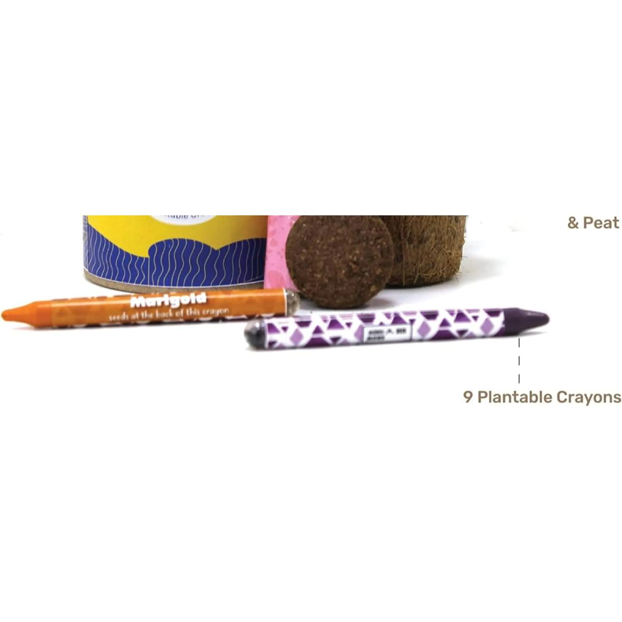 Earthling GIY Kit - Plantable Crayons Suitable for 3 years & above