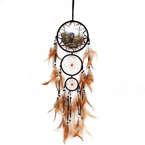 Dreamcatcher - Siderosphere, feathers, lines, wood beads.