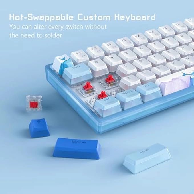 SK961 - Wired/Wireless