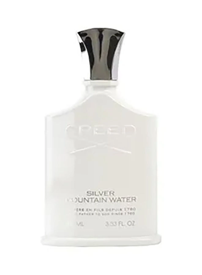 Silver Mountain Water Eau de Parfum 100ml