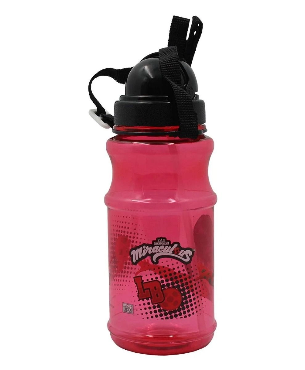 Tales Of Ladybug & Cat Noir Water Bottle - Leak-proof