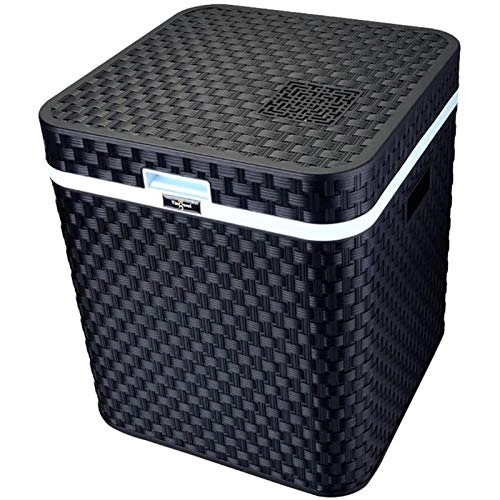 Portable Car Mini Refrigerator - 12V 24V 220V