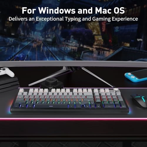 Z-11 - Wired/Wireless