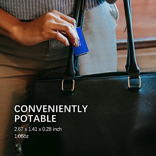 Mini Portable SSD - 500GB