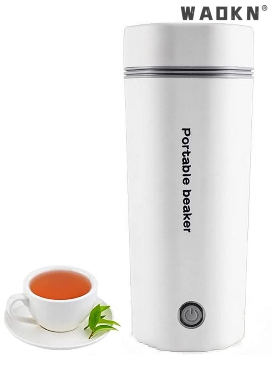 WAOKN Travel Electric Kettle