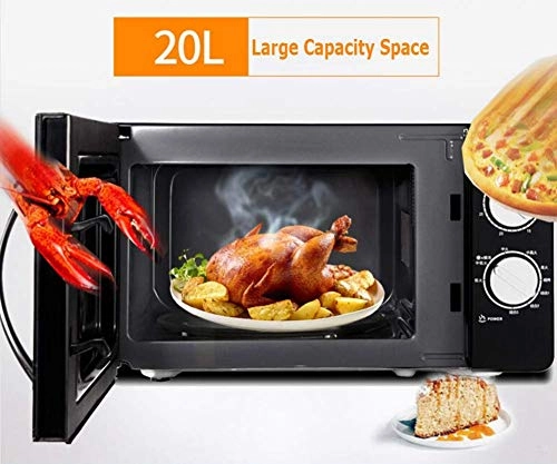 Electric Microwave - Defrost