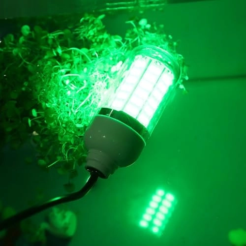 Green LED Fishing Light - 5 m / 16 ft