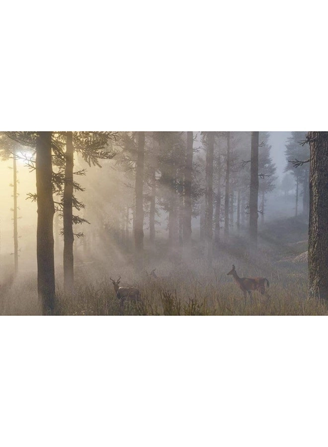 Red Dead Redemption 2 Intl Version - Xbox One