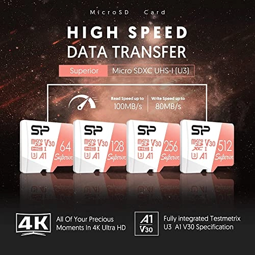 STXDV3V20SP - 256GB