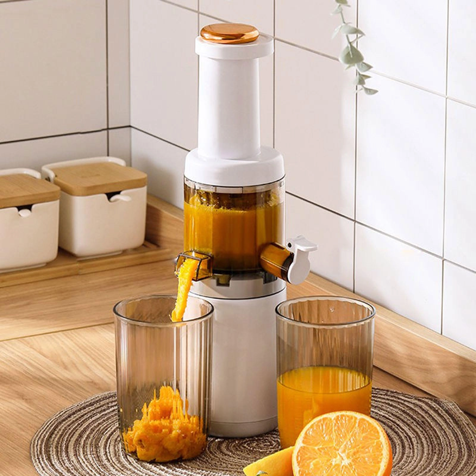 BDJSN Fruit and Vegetable Juicer - 120W 625ml