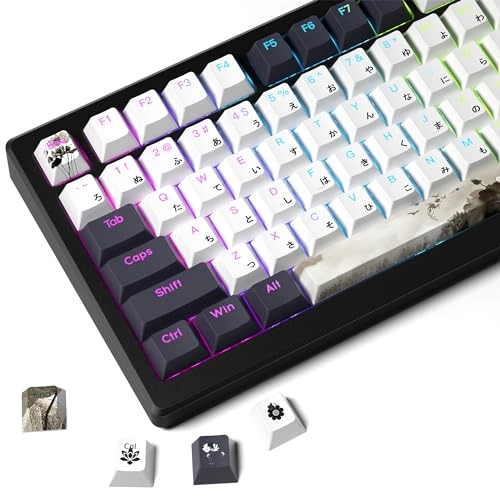 GMKWTL XVX Shine Through Keycaps