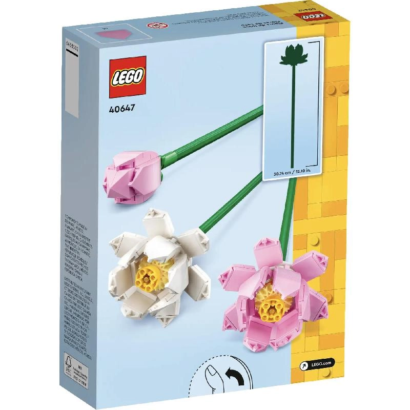 Lotus Flowers (40647) - Iconic