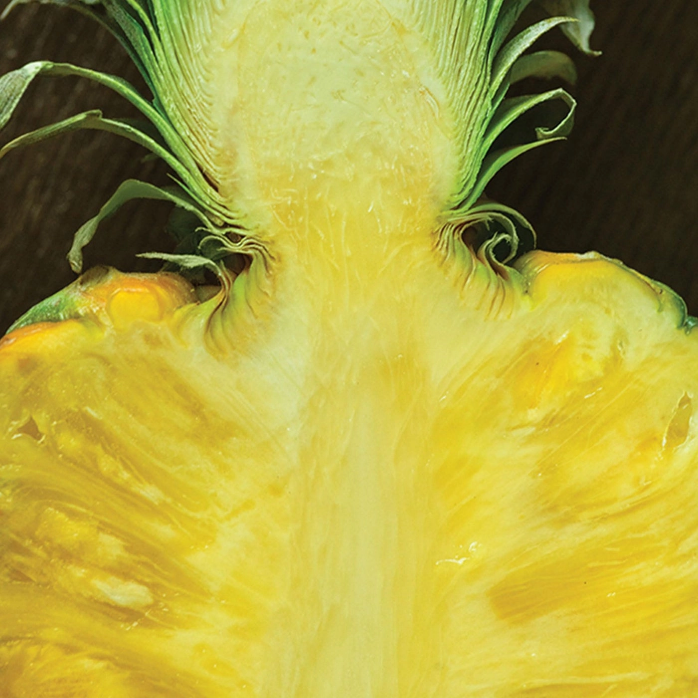 Polo 67 Eau de Toilette 125ml