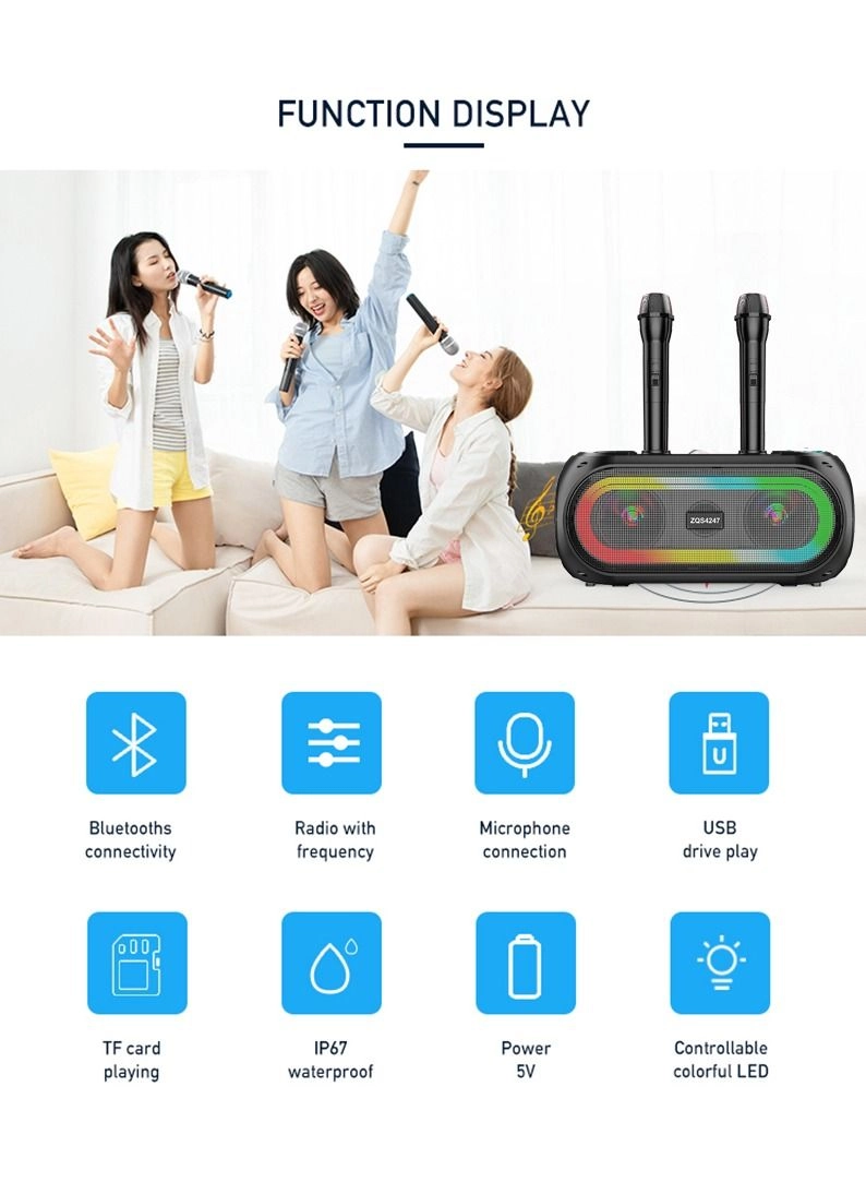 ZQS4247 - Two Wireless Microphone