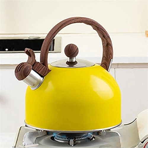 Kettle - Stainless Steel Auburn