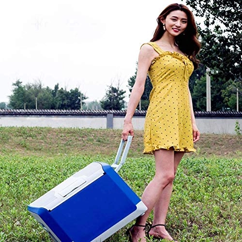 car refrigerator - 40L