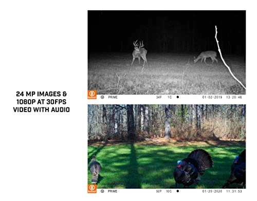 Prime Trail Camera - 24 megapixel