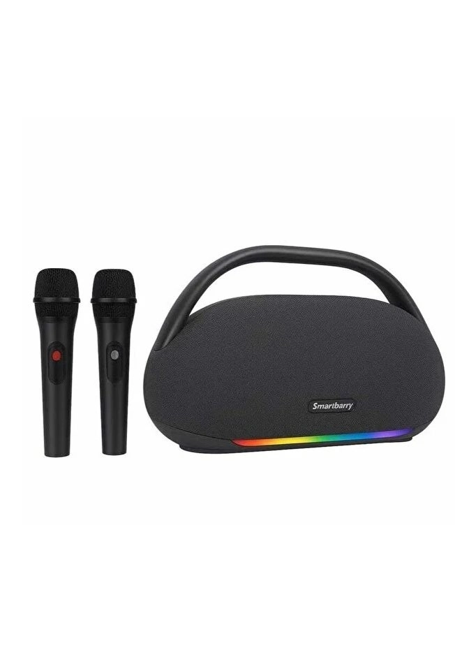 M93 - 2 Wireless Microphones