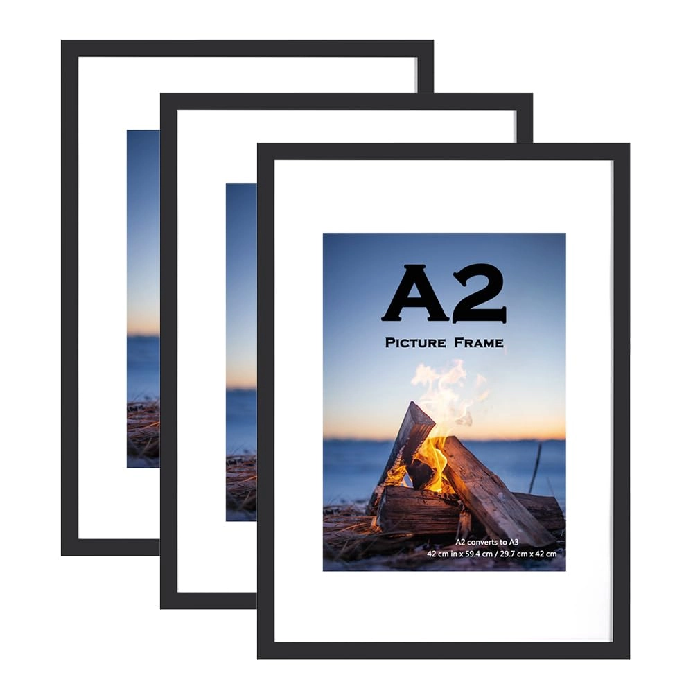 Picture Frame - A2(42x59.4cm) 3