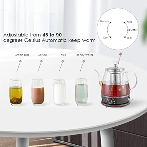 Glass Keep Warm Electric Kettle