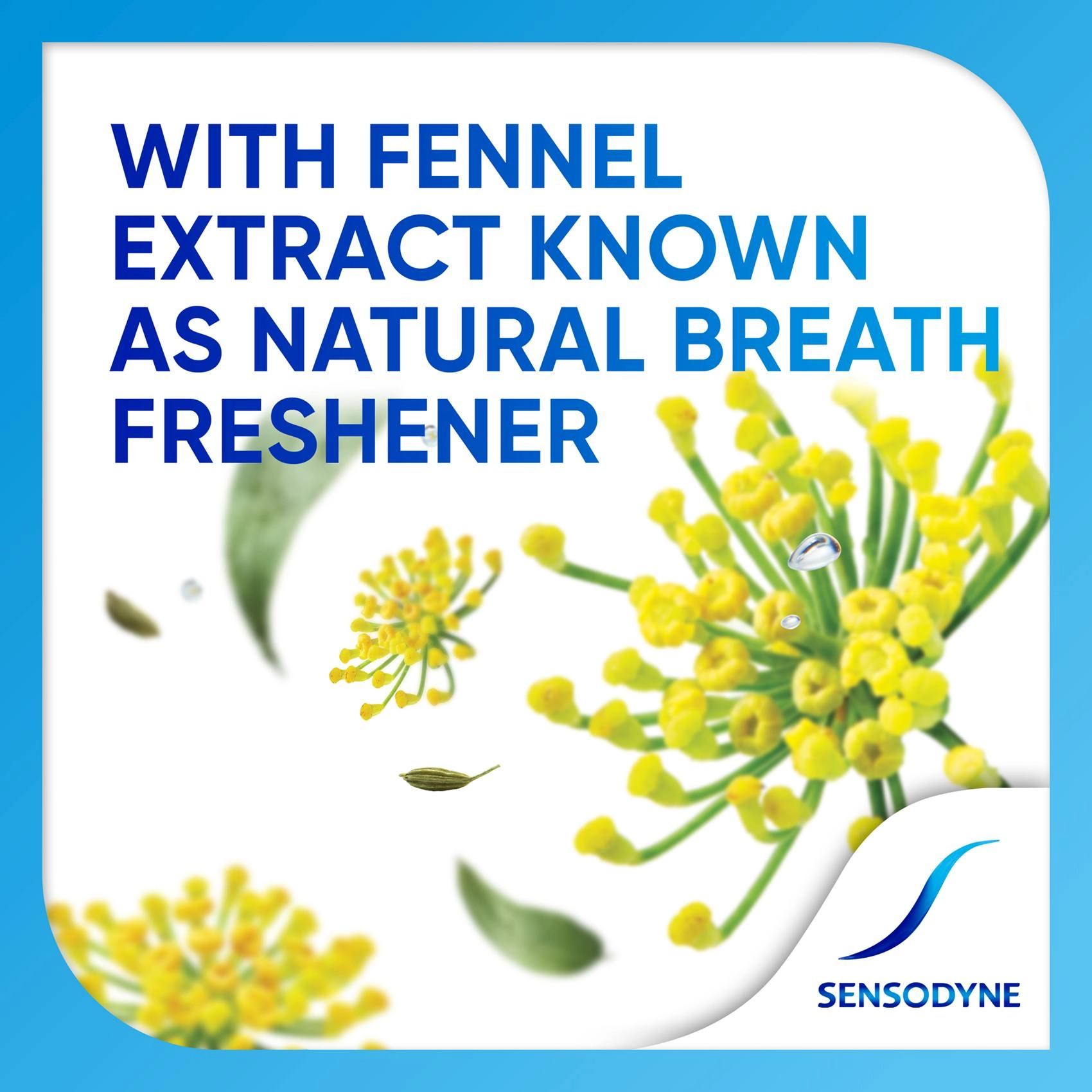 Herbal Eucalyptus Chamomile Toothpaste 100g