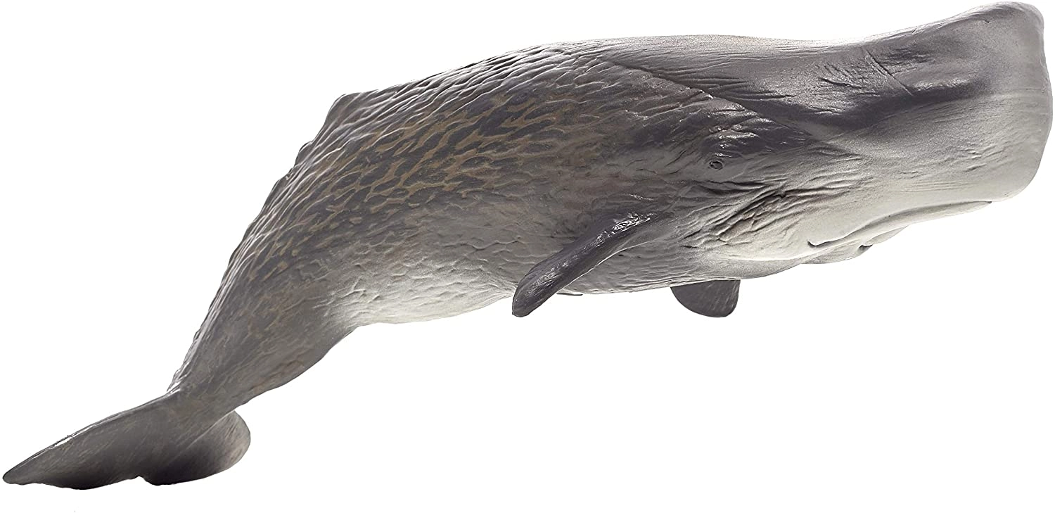 Play and Dream Mojo 387210 Sperm Whale - Multi-Colour