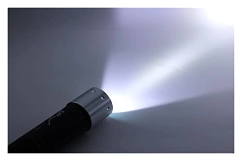 Professional Submersible Light - 4000 Lumens IPX8