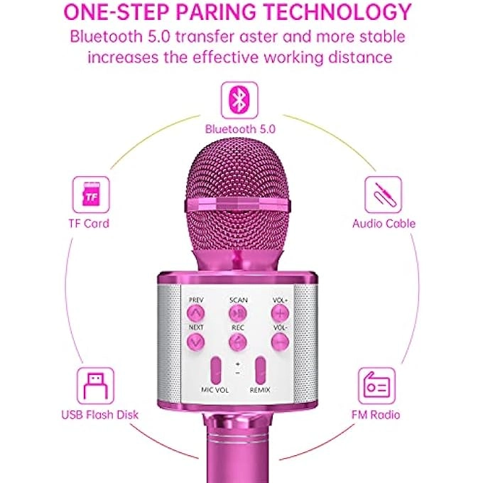 rayihni Karaoke Microphone Pack