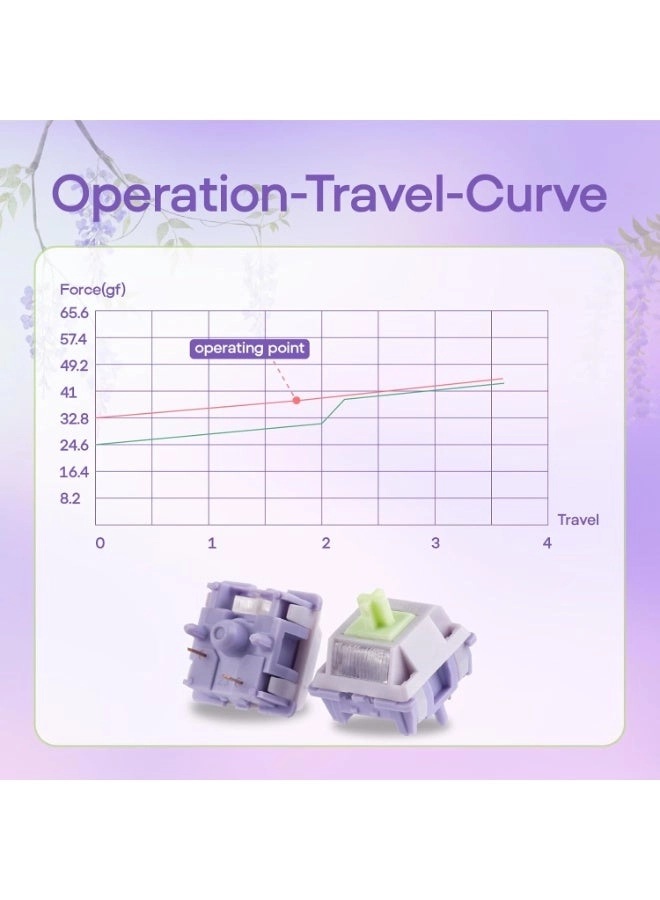 Wisteria V2 - 35 Pieces