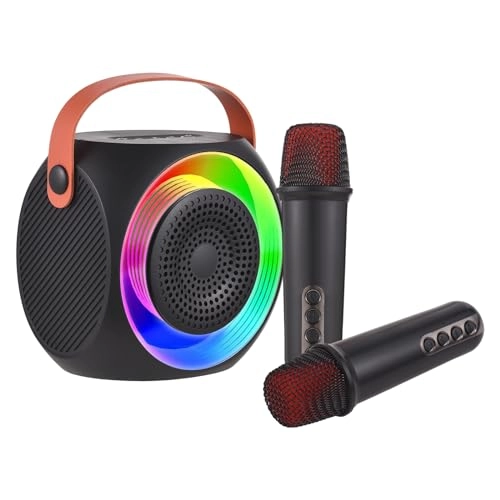 Karaoke Machine - 2 15W