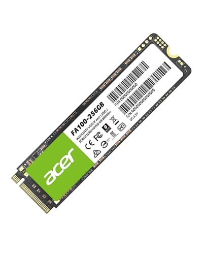 FA100 - 256GB M.2