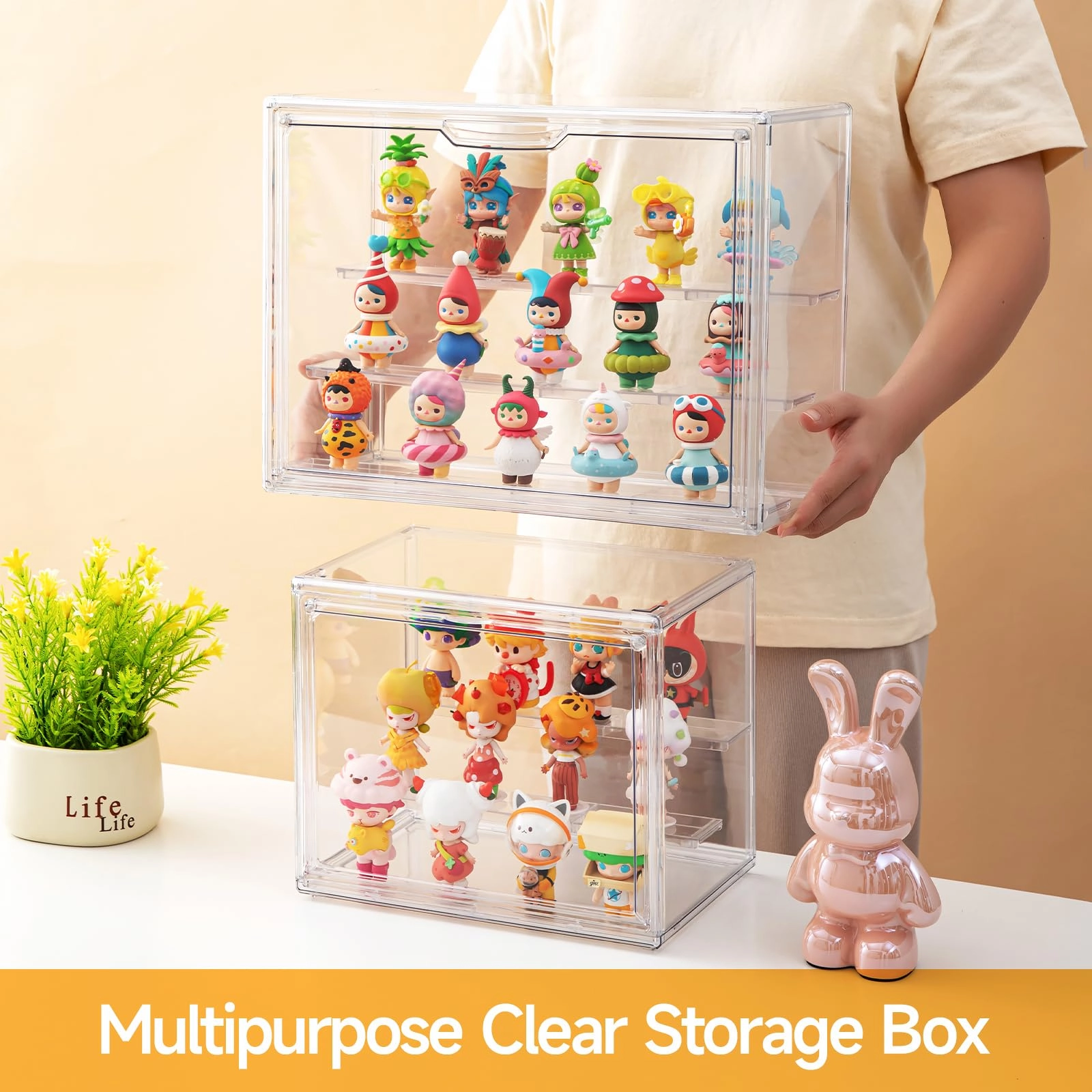 Display Case - 2 Pack Clear Small (DISPLAYCASE)