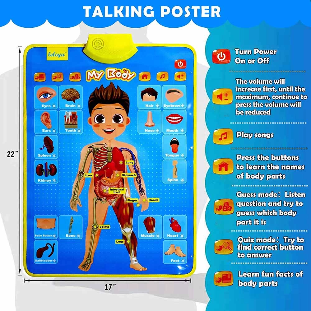 Talking Poster - My Body - Suitable for 3 years and above