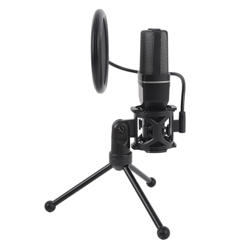 Annadues6425axq0n USB+Wireless Microphone