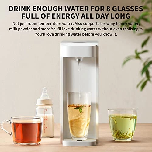 Electric Instant Hot Water Dispenser - 2.5L