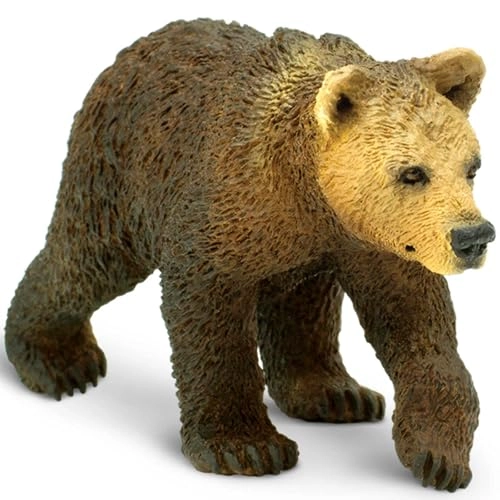 Grizzly Bear Cub