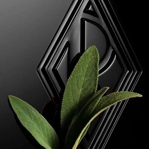 Ralph's Club Elixir Eau de Parfum 75 ml