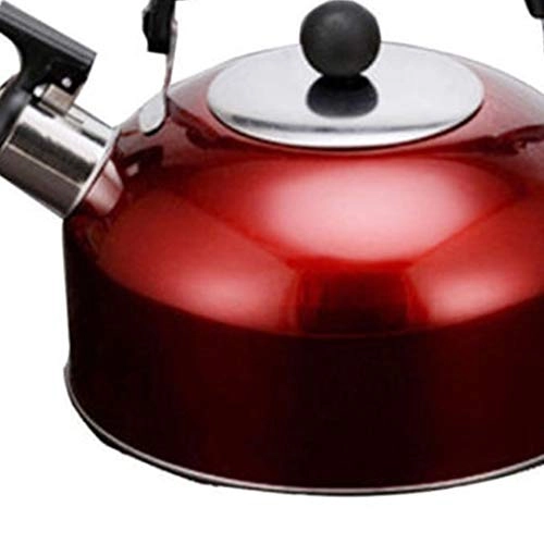Stovetop Induction Whistling Kettle - 5L