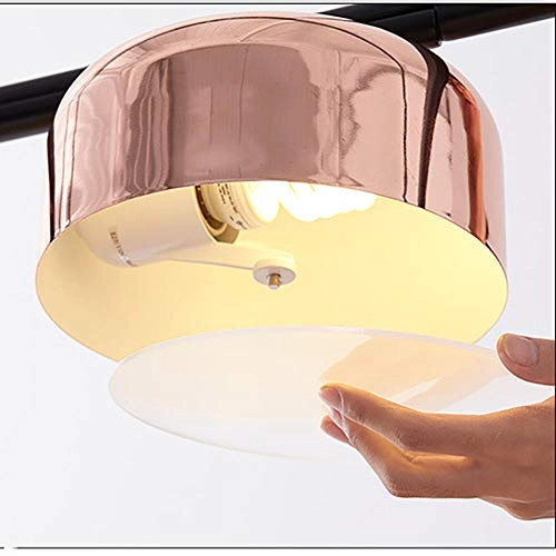 Designer Swivel Household Chandelier