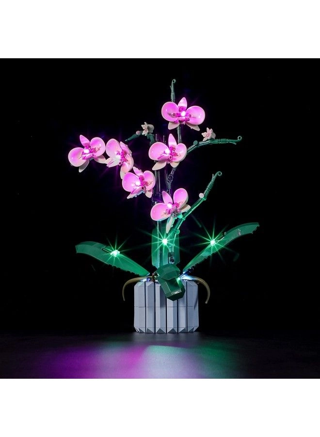 Led Lighting Kit - Flowers