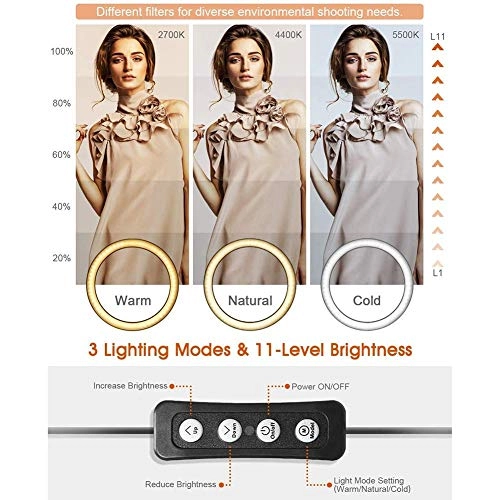 LED Ring Light - 10 Inch