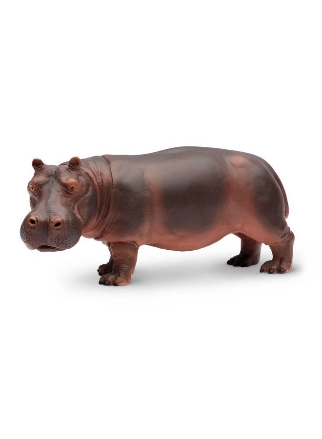 Safari Ltd Hippopotamus Figurine - Realistic 5.5"