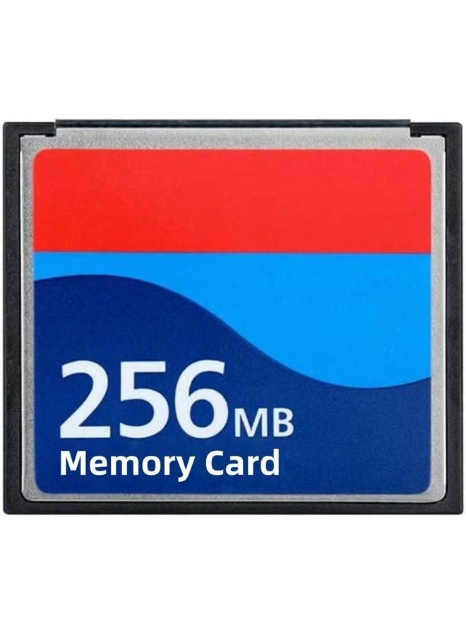 XINHAOXUAN CompactFlash Memory Card - 0.25GB