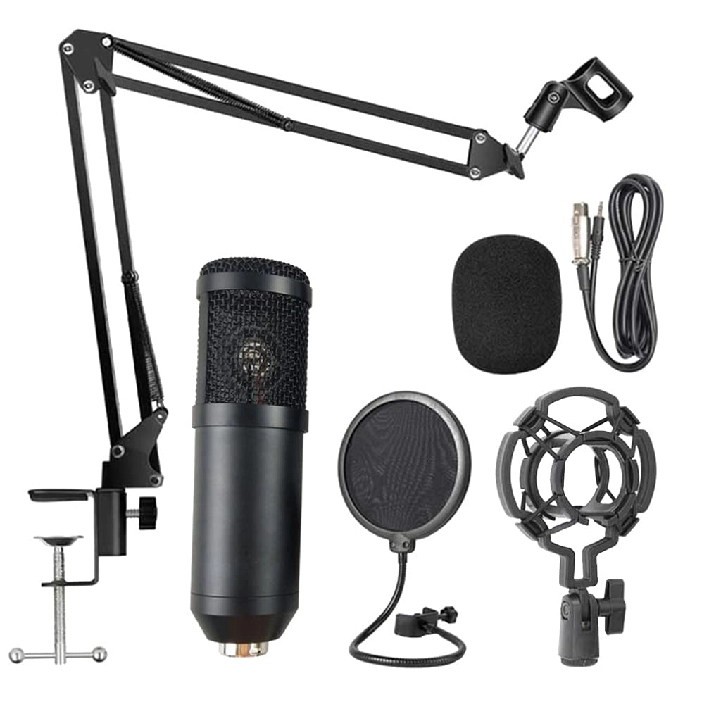 6089768798 USB Microphone