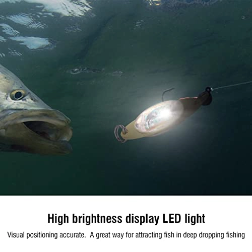 Fishing Lure Light