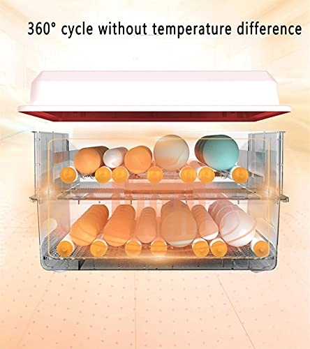 Egg Incubator - 48 Eggs Fully Automatic
