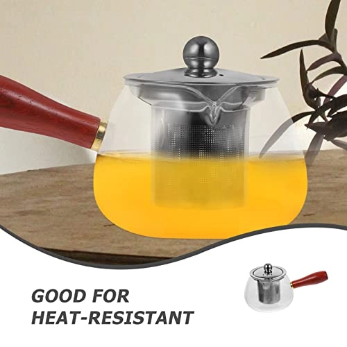 Gooseneck Tea Pot - borosilicate glass 800 ml