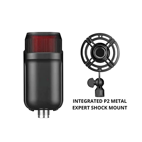 M5 Zone Masterpiece XLR Microphone